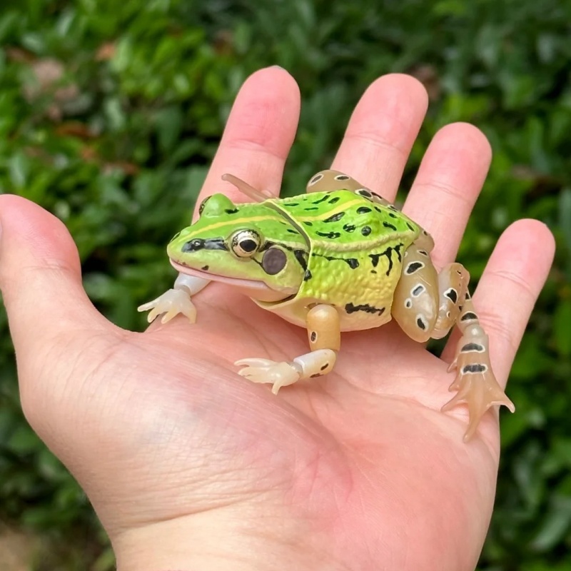 Img